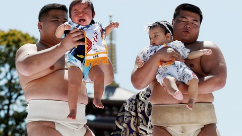 Bí mật sinh sản thú vị ở Okinawa - Ảnh 1. Bí mật sinh sản thú vị ở Okinawa - Ảnh 1.