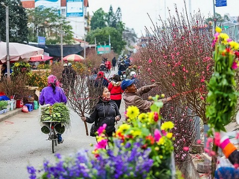 Hà Nội sẽ có 51 điểm chợ hoa xuân phục vụ Tết - Ảnh 1. Hà Nội sẽ có 51 điểm chợ hoa xuân phục vụ Tết - Ảnh 1.