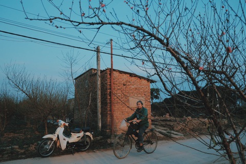 Đào nở sớm, giá nửa triệu đồng một cành vẫn hút khách - Ảnh 7. Đào nở sớm, giá nửa triệu đồng một cành vẫn hút khách - Ảnh 7.