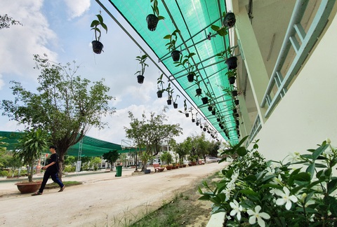 Độc đáo ngôi trường thầy trò trồng đầy bắp cải, rau, hoa - Ảnh 13. Độc đáo ngôi trường thầy trò trồng đầy bắp cải, rau, hoa - Ảnh 13.