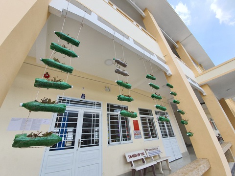 Độc đáo ngôi trường thầy trò trồng đầy bắp cải, rau, hoa - Ảnh 12. Độc đáo ngôi trường thầy trò trồng đầy bắp cải, rau, hoa - Ảnh 12.