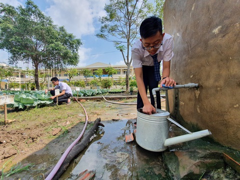 Độc đáo ngôi trường thầy trò trồng đầy bắp cải, rau, hoa - Ảnh 4. Độc đáo ngôi trường thầy trò trồng đầy bắp cải, rau, hoa - Ảnh 4.