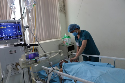 Ăn cá nóc, 6 người nhập viện cấp cứu - Ảnh 1. Ăn cá nóc, 6 người nhập viện cấp cứu - Ảnh 1.