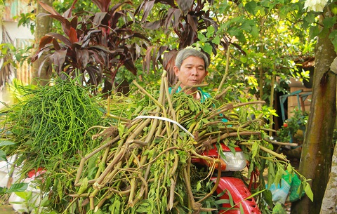 Bệnh viện tình thương - Ảnh 3. Bệnh viện tình thương - Ảnh 3.