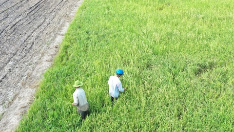TP.HCM công bố dự thảo báo cáo chính trị ĐH Đảng bộ lần XI - Ảnh 2. TP.HCM công bố dự thảo báo cáo chính trị ĐH Đảng bộ lần XI - Ảnh 2.