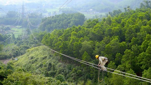 Những người nhện xuyên Việt - Kỳ cuối: Ruồi vàng, bọ chó, gió Đắk Glei - Ảnh 2. Những người nhện xuyên Việt - Kỳ cuối: Ruồi vàng, bọ chó, gió Đắk Glei - Ảnh 2.