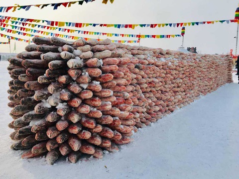 Con cá mè hoa khổng lồ bán với giá gần 10 tỉ đồng - Ảnh 10. Con cá mè hoa khổng lồ bán với giá gần 10 tỉ đồng - Ảnh 10.