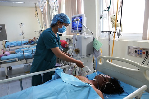 Đừng để mất mạng vì cá nóc - Ảnh 1. Đừng để mất mạng vì cá nóc - Ảnh 1.