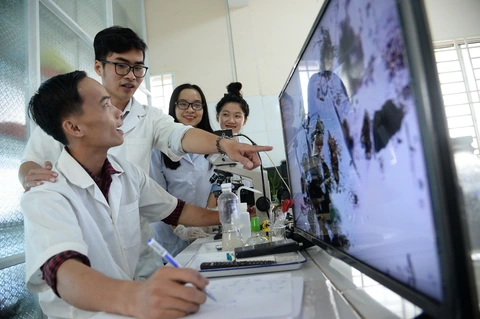 Bài báo công bố quốc tế: Khởi sắc nhờ thưởng khủng - Ảnh 1. Bài báo công bố quốc tế: Khởi sắc nhờ thưởng khủng - Ảnh 1.