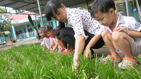 Nhiều học sinh mầm non vô lớp gọi cô giáo là bà - Ảnh 4. Nhiều học sinh mầm non vô lớp gọi cô giáo là bà - Ảnh 4.
