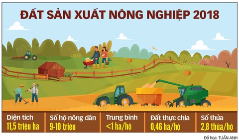 Tích tụ đất đai để nông nghiệp bứt phá - Ảnh 4. Tích tụ đất đai để nông nghiệp bứt phá - Ảnh 4.