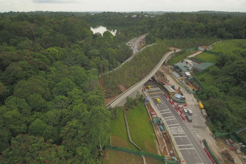 Singapore làm cầu vượt trồng cây rừng dành cho động vật - Ảnh 1. Singapore làm cầu vượt trồng cây rừng dành cho động vật - Ảnh 1.