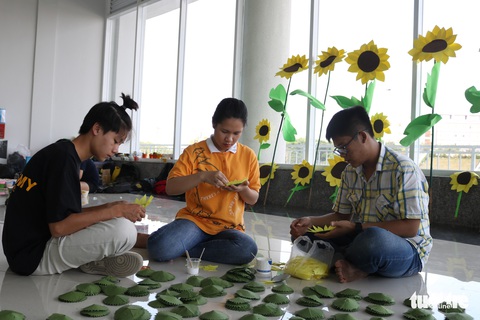 Hơn 5.000 hoa hướng dương cho chương trình Ước mơ của Thúy - Ảnh 3. Hơn 5.000 hoa hướng dương cho chương trình Ước mơ của Thúy - Ảnh 3.
