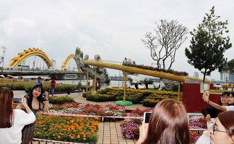 Khoác áo hoa cho đường hoa Nguyễn Huệ - Ảnh 3. Khoác áo hoa cho đường hoa Nguyễn Huệ - Ảnh 3.