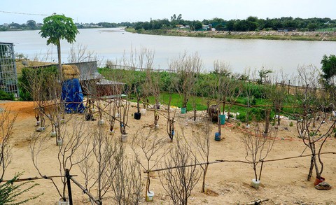 Ánh đèn vàng và màu mai trắng - Ảnh 2. Ánh đèn vàng và màu mai trắng - Ảnh 2.
