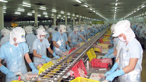 Doanh nghiệp kêu cứu vì bị dừng sản xuất dù đã chi hàng chục tỉ đồng cho 3 tại chỗ - Ảnh 1. Doanh nghiệp kêu cứu vì bị dừng sản xuất dù đã chi hàng chục tỉ đồng cho 3 tại chỗ - Ảnh 1.