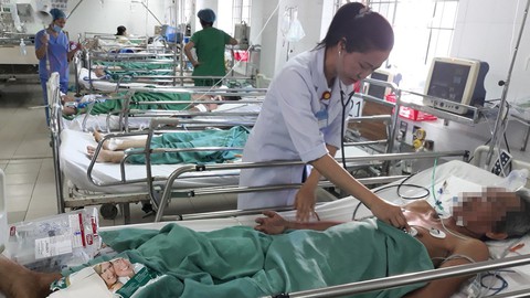 Cứu sống bệnh nhân ngưng tim, ngưng thở - Ảnh 1. Cứu sống bệnh nhân ngưng tim, ngưng thở - Ảnh 1.