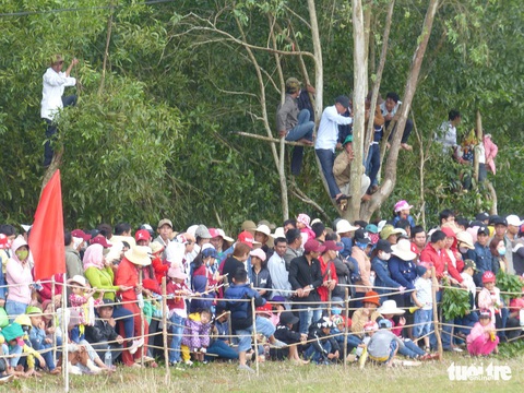 Chết cười với cuộc đua của các chị ngựa thồ ở Phú Yên - Ảnh 9. Chết cười với cuộc đua của các chị ngựa thồ ở Phú Yên - Ảnh 9.