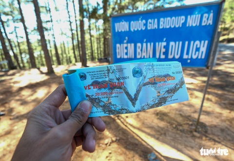 Du khách bức xúc lối vào “cây thông cô đơn” bị chặn để bán vé - Ảnh 4. Du khách bức xúc lối vào “cây thông cô đơn” bị chặn để bán vé - Ảnh 4.