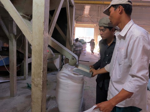 xuất khẩu lúa xuất khẩu lúa