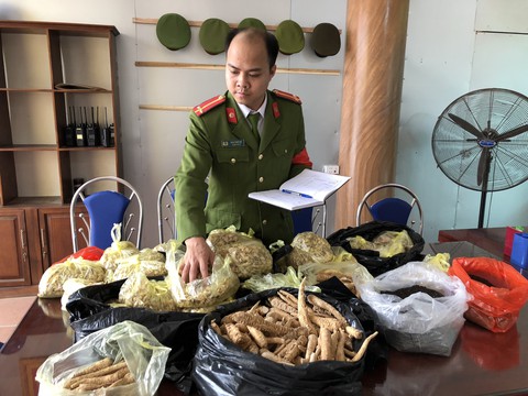 Tịch thu hàng chục ký thuốc nam tại khu di tích Tây Thiên - Ảnh 1. Tịch thu hàng chục ký thuốc nam tại khu di tích Tây Thiên - Ảnh 1.