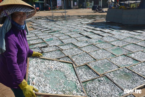 Đầu năm ngư dân miền Trung đón lộc biển - Ảnh 8. Đầu năm ngư dân miền Trung đón lộc biển - Ảnh 8.