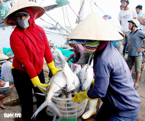 Đầu năm ngư dân miền Trung đón lộc biển - Ảnh 7. Đầu năm ngư dân miền Trung đón lộc biển - Ảnh 7.
