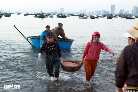 Đầu năm ngư dân miền Trung đón lộc biển - Ảnh 5. Đầu năm ngư dân miền Trung đón lộc biển - Ảnh 5.