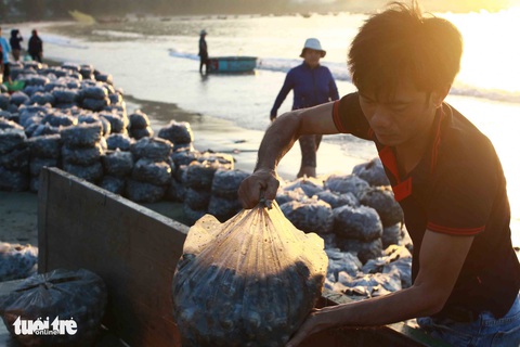 Đầu năm ngư dân miền Trung đón lộc biển - Ảnh 2. Đầu năm ngư dân miền Trung đón lộc biển - Ảnh 2.