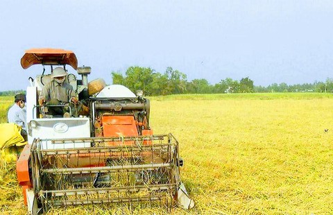 Để người trồng lúa thôi ngồi trên lửa - Ảnh 1. Để người trồng lúa thôi ngồi trên lửa - Ảnh 1.