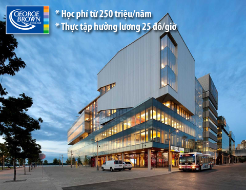 Du học, thực tập hưởng lương ở Toronto - Canada - Ảnh 1. Du học, thực tập hưởng lương ở Toronto - Canada - Ảnh 1.