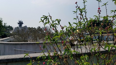 Xin hoa chưng tết về làm đẹp nghĩa trang liệt sĩ quốc gia - Ảnh 1. Xin hoa chưng tết về làm đẹp nghĩa trang liệt sĩ quốc gia - Ảnh 1.