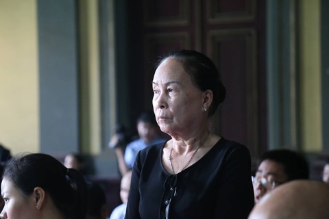 Mẹ của ông Đặng Lê Nguyên Vũ: Đau khổ khi con bị giám định tâm thần - Ảnh 2. Mẹ của ông Đặng Lê Nguyên Vũ: Đau khổ khi con bị giám định tâm thần - Ảnh 2.