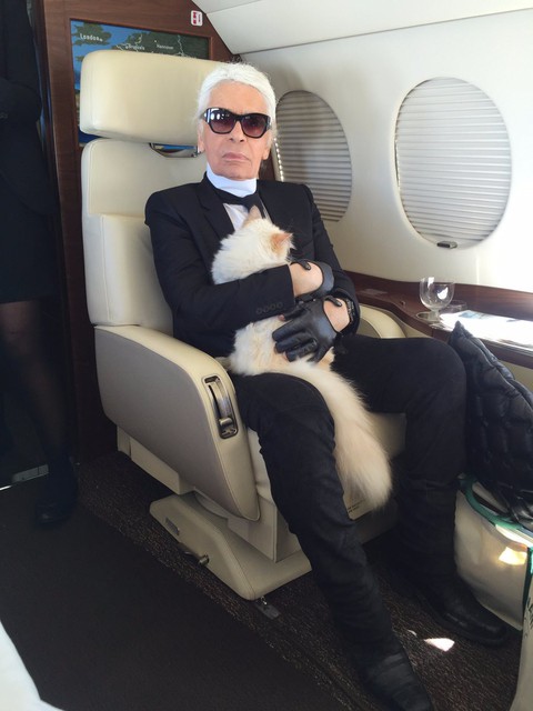 Cô mèo Choupette sẽ thừa kế 200 triệu đô của ông hoàng Chanel? - Ảnh 10. Cô mèo Choupette sẽ thừa kế 200 triệu đô của ông hoàng Chanel? - Ảnh 10.
