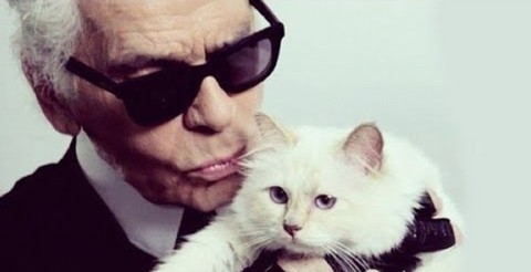Cô mèo Choupette sẽ thừa kế 200 triệu đô của ông hoàng Chanel? - Ảnh 2. Cô mèo Choupette sẽ thừa kế 200 triệu đô của ông hoàng Chanel? - Ảnh 2.