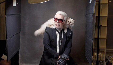 Cô mèo Choupette sẽ thừa kế 200 triệu đô của ông hoàng Chanel? - Ảnh 8. Cô mèo Choupette sẽ thừa kế 200 triệu đô của ông hoàng Chanel? - Ảnh 8.