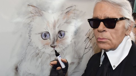 Cô mèo Choupette sẽ thừa kế 200 triệu đô của ông hoàng Chanel? - Ảnh 1. Cô mèo Choupette sẽ thừa kế 200 triệu đô của ông hoàng Chanel? - Ảnh 1.