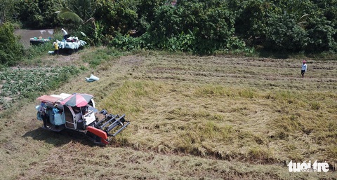 Đối sách các nước tiêu dùng thay đổi, gạo Việt gặp áp lực - Ảnh 3. Đối sách các nước tiêu dùng thay đổi, gạo Việt gặp áp lực - Ảnh 3.