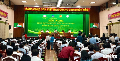 Đối sách các nước tiêu dùng thay đổi, gạo Việt gặp áp lực - Ảnh 1. Đối sách các nước tiêu dùng thay đổi, gạo Việt gặp áp lực - Ảnh 1.