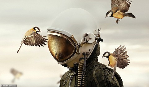 Việt Nam thắng chung cuộc Sony World Photography Awards 2019 - Ảnh 2. Việt Nam thắng chung cuộc Sony World Photography Awards 2019 - Ảnh 2.