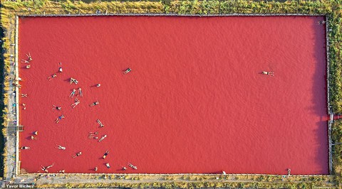 Việt Nam thắng chung cuộc Sony World Photography Awards 2019 - Ảnh 12. Việt Nam thắng chung cuộc Sony World Photography Awards 2019 - Ảnh 12.