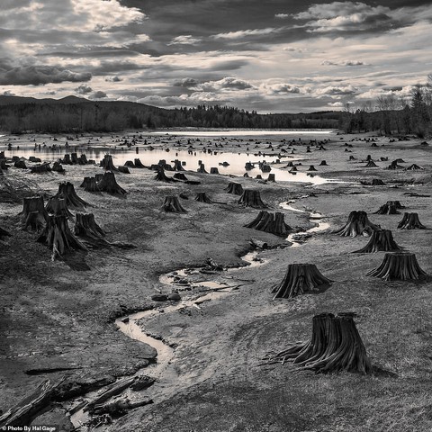 Việt Nam thắng chung cuộc Sony World Photography Awards 2019 - Ảnh 7. Việt Nam thắng chung cuộc Sony World Photography Awards 2019 - Ảnh 7.