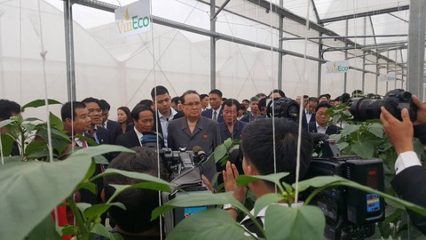 Phái đoàn Triều Tiên thăm tập đoàn Vingroup tại Hải Phòng - Ảnh 8. Phái đoàn Triều Tiên thăm tập đoàn Vingroup tại Hải Phòng - Ảnh 8.