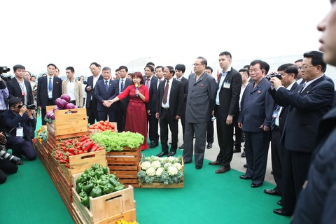 Phái đoàn Triều Tiên thăm tập đoàn Vingroup tại Hải Phòng - Ảnh 10. Phái đoàn Triều Tiên thăm tập đoàn Vingroup tại Hải Phòng - Ảnh 10.