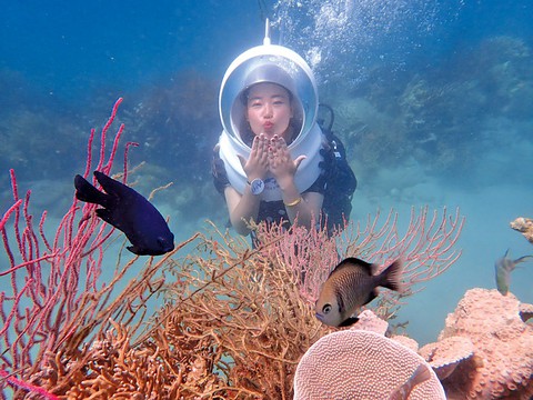 “Lột xác” tour đảo - Ảnh 4. “Lột xác” tour đảo - Ảnh 4.