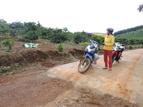 Khó tưởng tượng khi giám đốc làm đường giảm nghèo nắn… vô rẫy nhà mình - Ảnh 3. Khó tưởng tượng khi giám đốc làm đường giảm nghèo nắn… vô rẫy nhà mình - Ảnh 3.
