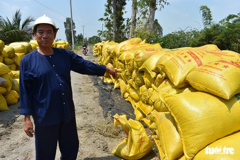 Nông dân khốn khổ vì doanh nghiệp bẻ kèo thu mua lúa - Ảnh 2. Nông dân khốn khổ vì doanh nghiệp bẻ kèo thu mua lúa - Ảnh 2.