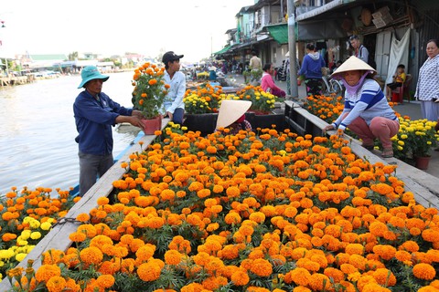 Rộn ràng chợ nổi Ngã Năm ngày 29 Tết - Ảnh 1. Rộn ràng chợ nổi Ngã Năm ngày 29 Tết - Ảnh 1.