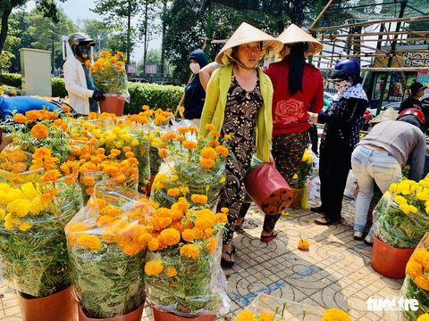 Các chủ hàng hoa khẳng định không đại hạ giá - Ảnh 2. Các chủ hàng hoa khẳng định không đại hạ giá - Ảnh 2.