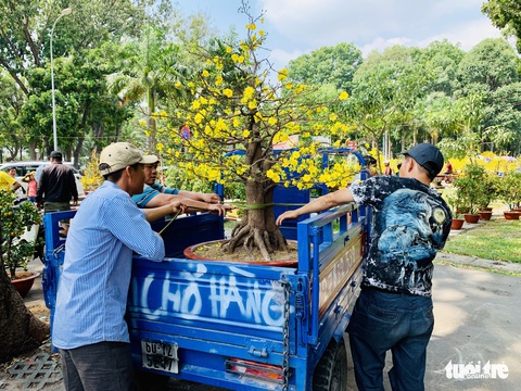 Các chủ hàng hoa khẳng định không đại hạ giá - Ảnh 3. Các chủ hàng hoa khẳng định không đại hạ giá - Ảnh 3.
